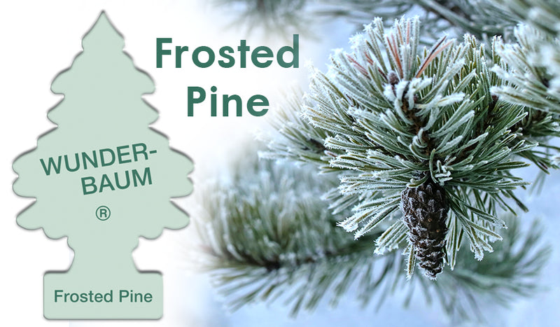 Odorizant Auto Wunder-Baum®, Frosted Pine